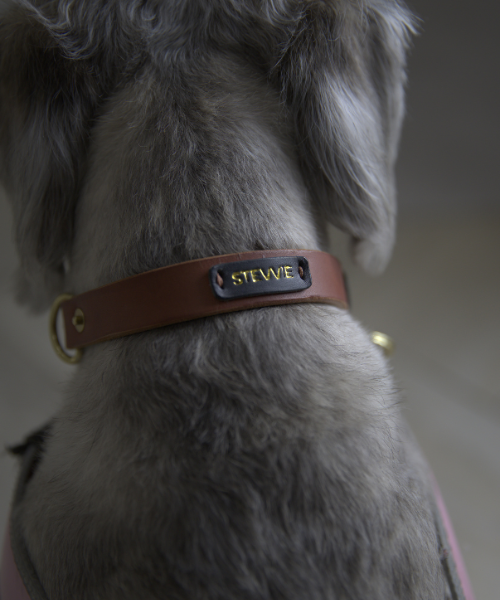 Wylie's Collar