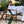 The Wesley Sling Chair